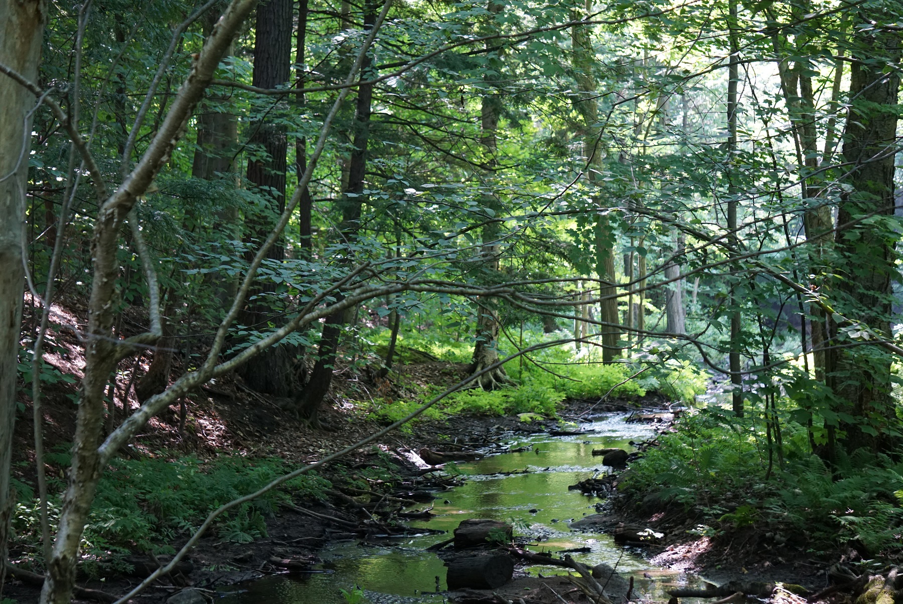 Bourriche Territoires Nature 2M50